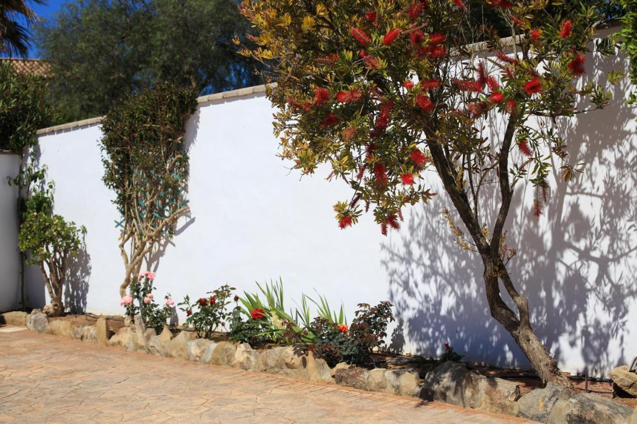 El Mirador De La Quinta Villa Vejer de la Frontera Eksteriør billede